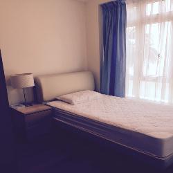Thomson Vale (D11), Apartment #166884582